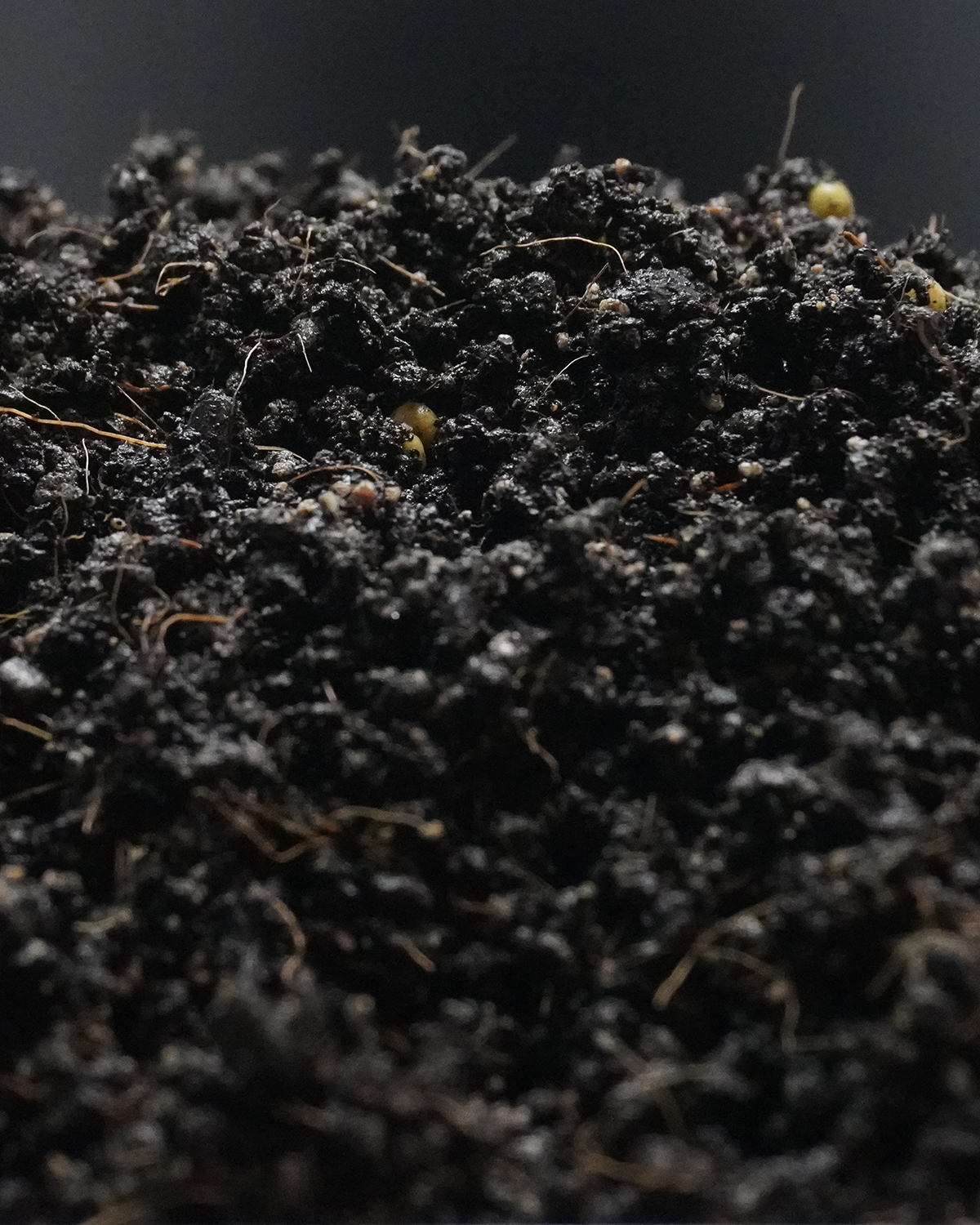 Macro close-up profile of Progenesis fine propagation media structure