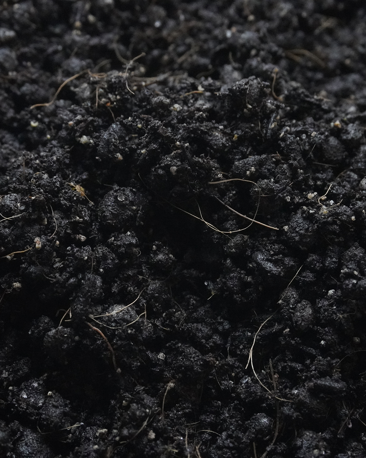 Macro texture photograph of YieldForge crop media highlighting aggregate distribution