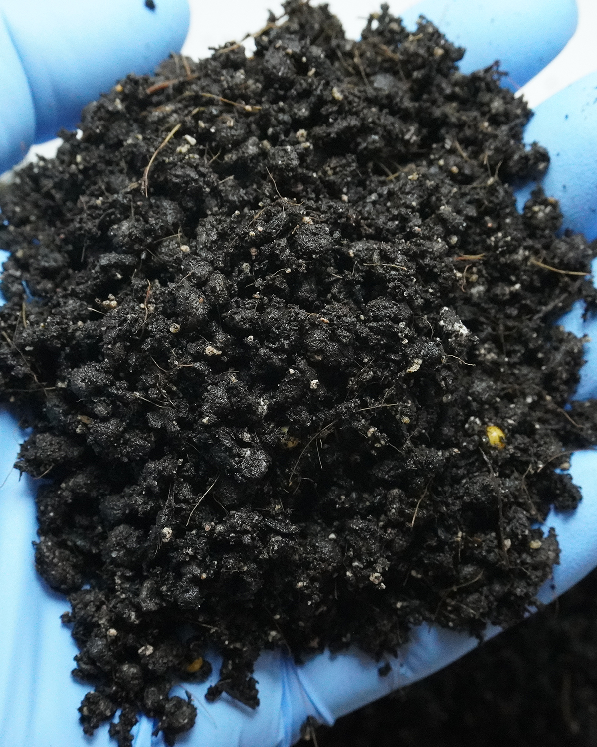 Clinical tactile density inspection of YieldForge crop substrate with a protective nitrile laboratory glove